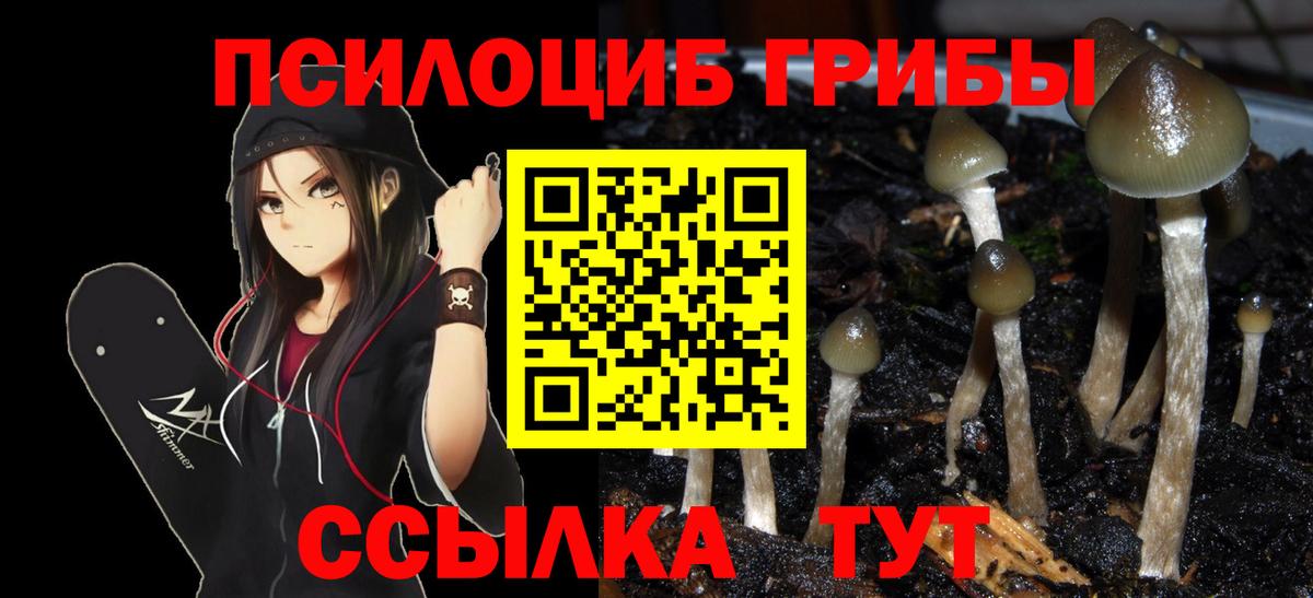Псилоцибиновые грибы MAGIC MUSHROOMS Павловский Посад